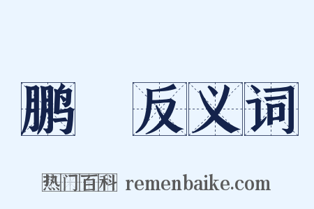 鹏鹍反义词是什么意思的图片
